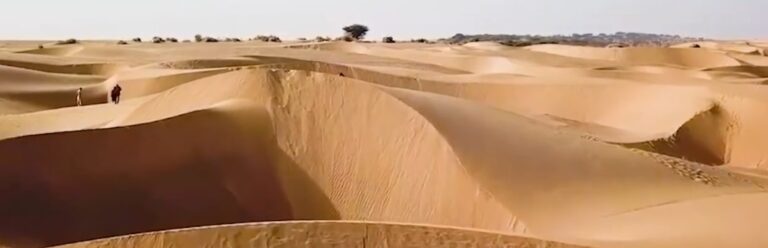 Miracle in the Deserts of Thar: This Garden is Not Affected by Climate Change!