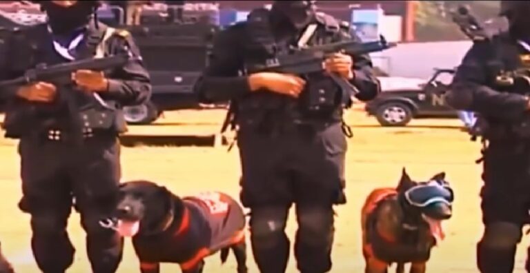  NSG स्‍क्‍वाडकेवोकमांडोंजो ‘सूंघ’ लेतेहैंहरखतरा…G20 आयोजनमेंलगीहैड्यूटी