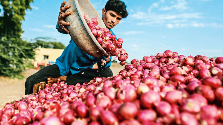 Maharashtra Onion Farmers’ Plight: The Impact of Central Export Ban | AIRR News