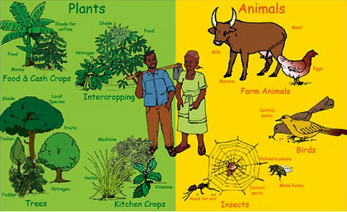 biodiversity of india latest update