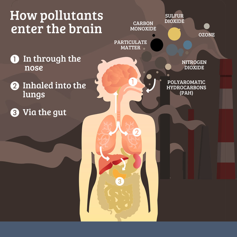 A study of air pollution as a silent threat to brain potential.