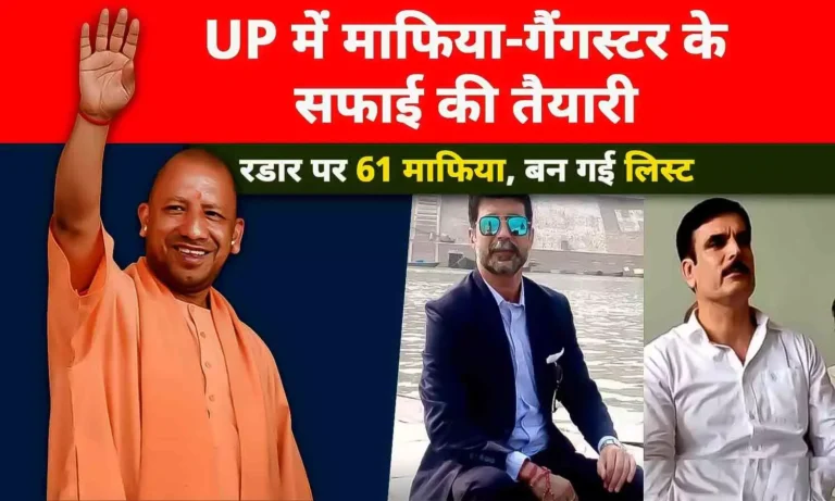 yogi - mafia is eliminating