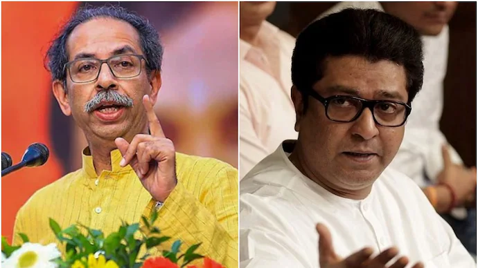 Raj Thackeray BJP Endorsement