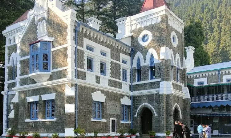 Scam tax invoice and fictitious timber sale worth 20 million: Uttarakhand HC Maintains Bail Crossing out Of Charged Who Purportedly Worked Made up Firms