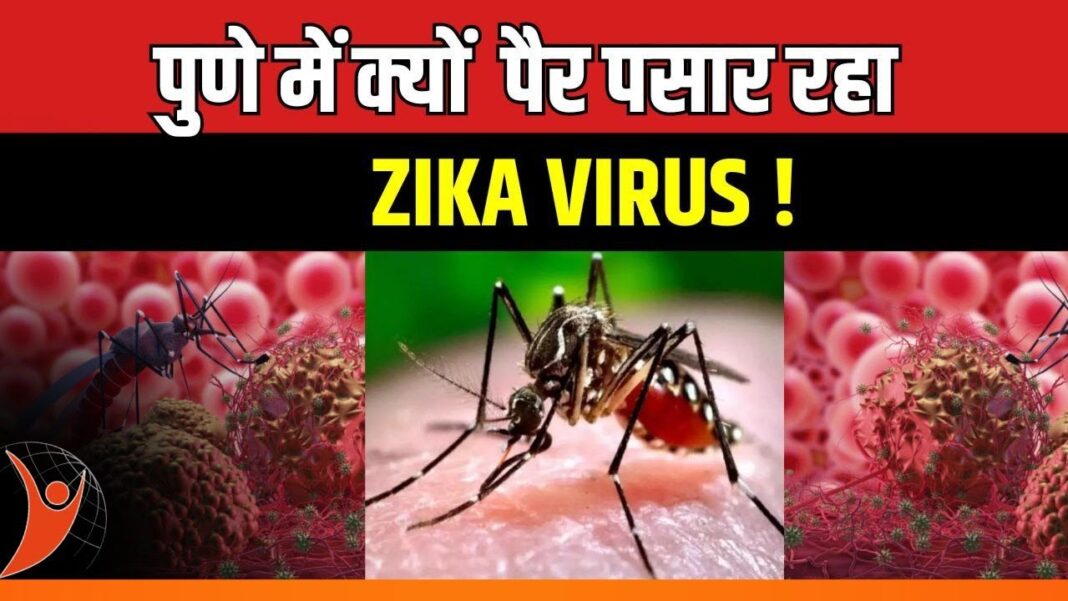 Zika Virus in Pune news