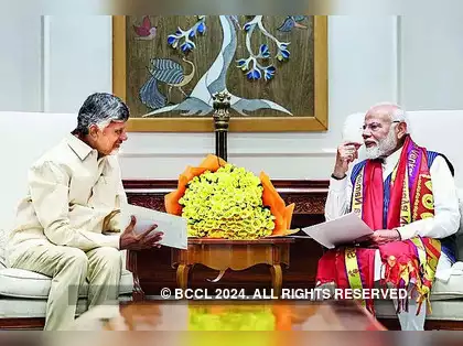 Chandrababu Naidu State Demands