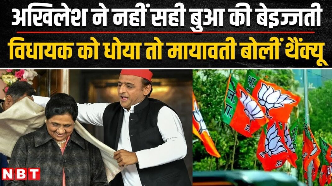 Mayawati On Akhilesh yadav