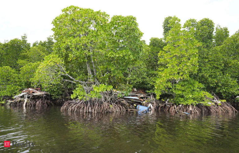 Goa HC seeks govt replies on PIL against TCP development permits in private forest – ET RealEstate