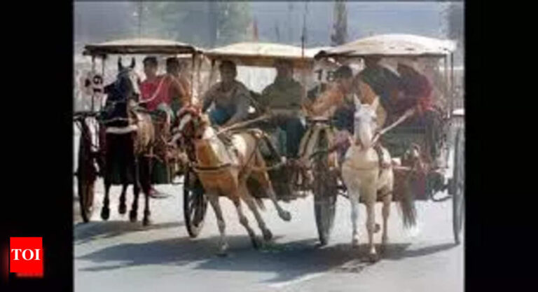 Illegal horse-carriage race in Mumbai raises concerns | Mumbai News – Times of India