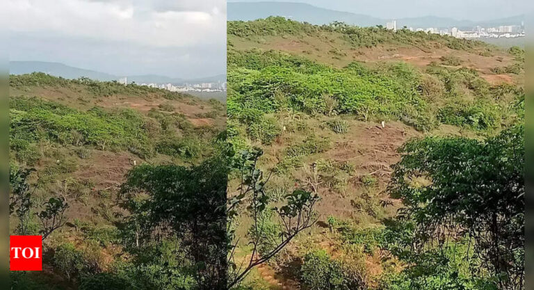 Greens flag concern: 1,406 trees to be felled for Metro Line 9 car shed in Mumbai’s Mira Bhayander | Mumbai News – Times of India
