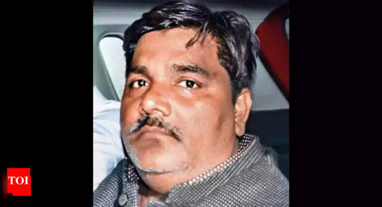‘Polarising elections’: BJP slams AIMIM for fielding Delhi riot accused Tahir Hussain | Delhi News – Times of India