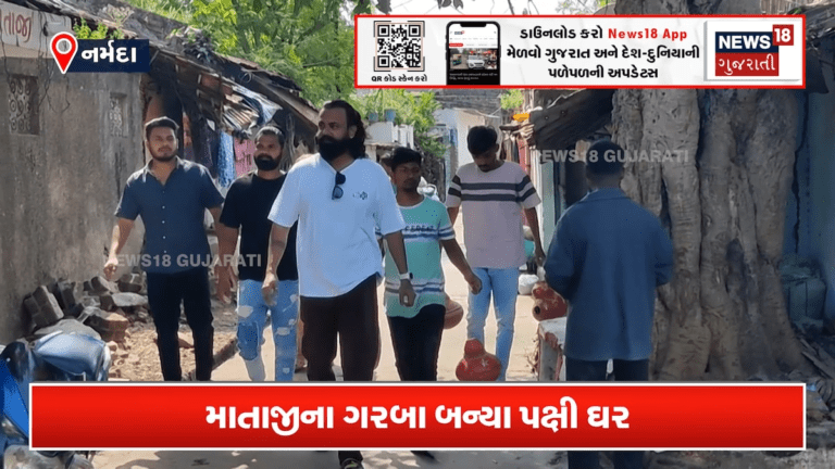માતાજીના ગરબા બન્યા પક્ષીઓના ‘ઘર’!