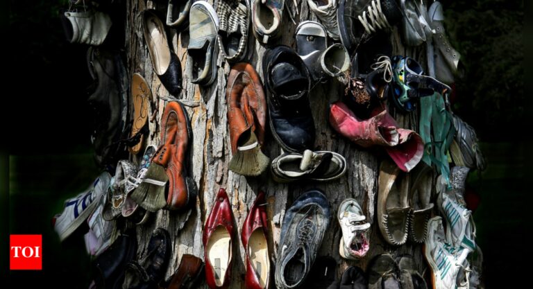 ‘Sole’ Mates for Life: Inside Murray State University’s shoe tree tradition – Times of India