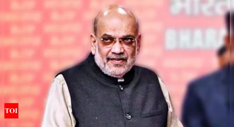 Delhiites can free city from garbage, graft and dirty water on Feb 5: Amit Shah | Delhi News – Times of India