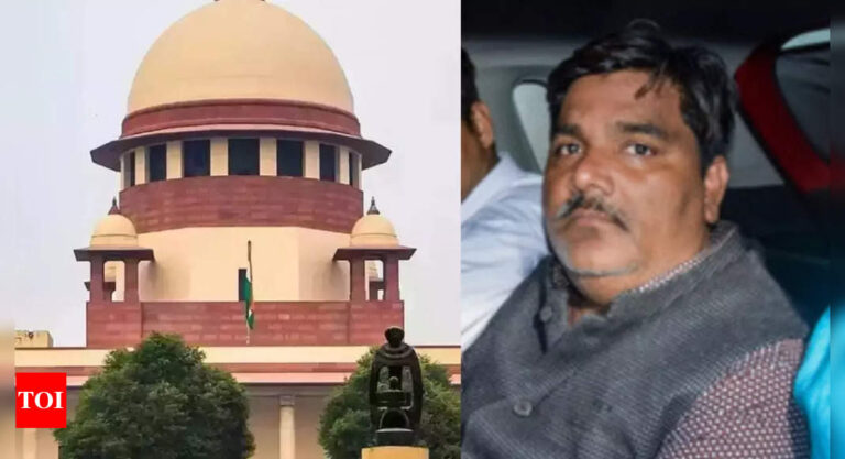 Supreme Court grants custody parole to Tahir Hussain | Delhi News – The Times of India