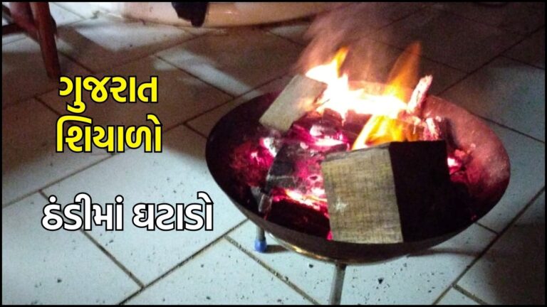 Gujarat Winter weather Update : ગુજરાતમાં બે દિવસમાં ચાર ડિગ્રી જેટલું તાપમાન ઉચકાયું, કાતિલ ઠંડીમાં રાહત, ક્યાં કેટલી ઠંડી નોંધાઈ?