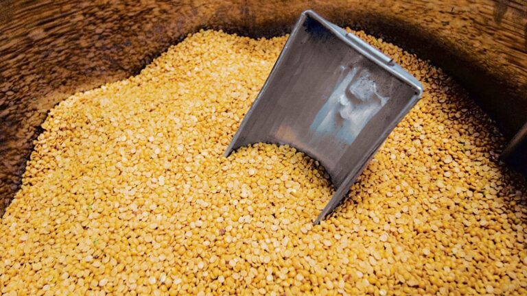 Govt imposes 10% duty on import of chana from 1 April | Mint