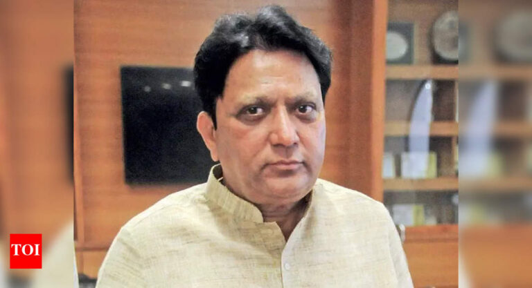 Enacting law for 85% local hiring will violate Constitution: Guj min | Ahmedabad News – The Times of India