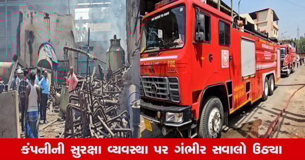 Vapi: વાપી GIDCની માઇક્રો ઓર્ગો કેમ કંપનીમાં આગ, ફાયર વિભાગ લાગ્યું કામે