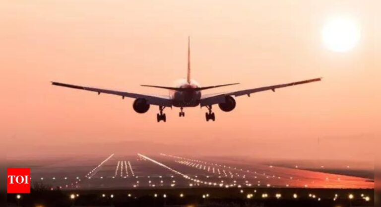 Capex at small private airports to surge 50–60% annually over next 3 years: Crisil