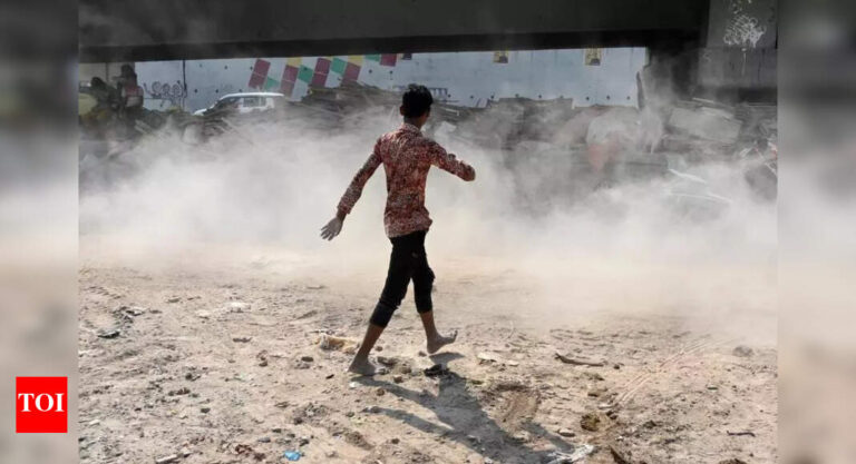 Dust control: Building plans to be sanctioned only after registration of construction sites, says Sirsa | Delhi News – Times of India
