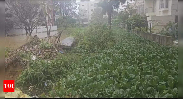 Frustrated by floods, Bengaluru’s Yelahanka residents move National Green Tribunal, get nod for drain | Bengaluru News