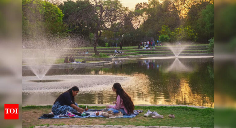 Ditch day plans, unwind by Delhi’s lakes on summer evenings | Delhi News – Times of India