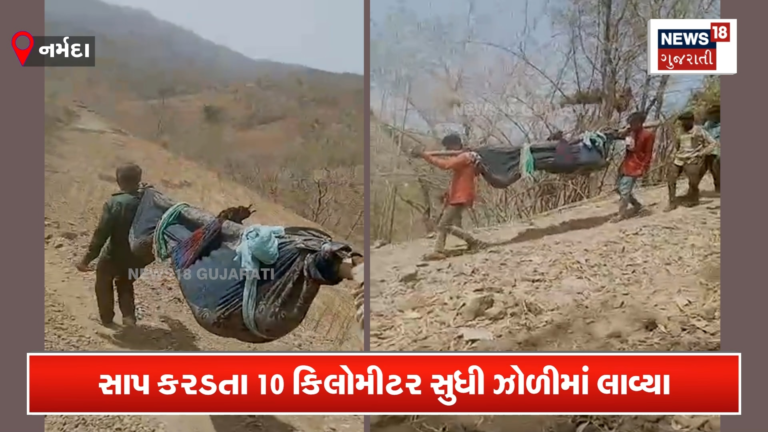 સાપ કરડતા 10 કિલોમીટર સુધી ઝોળીમાં લાવ્યા