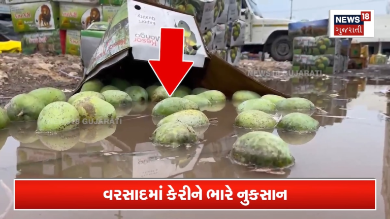 17 હજાર કેરીના બોક્સ પલળી ગયાં