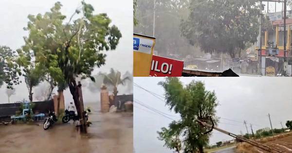 Dhandhuka: પંથકમાં પવન સાથે મુશળધાર વરસાદ વરસ્યો