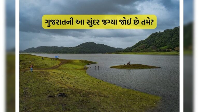 ગુજરાતનું 'કાશ્મીર' કહેવાય છે આ જગ્યા, વન ડે પિકનિક માટે છે બેસ્ટ
