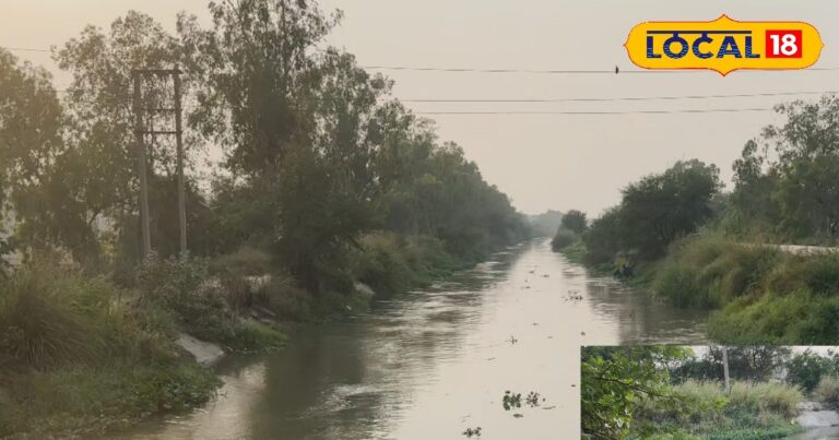 Ground Report: कहां है दिल्ली की खूनी नहर? हर साल झपट लेती है कइयों की जान, फिर भी क्यों जाते हैं लोग? सामने आया डरावना सच