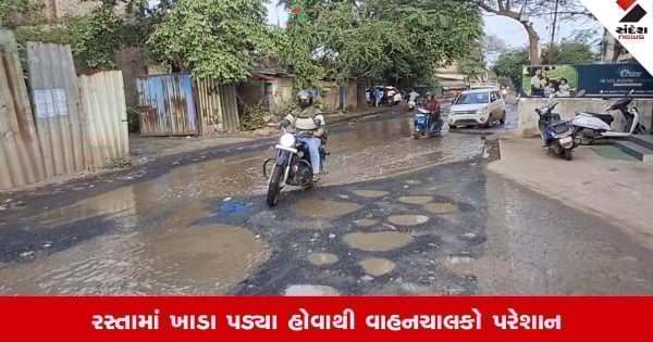 Vapi: મહાનગર પાલિકાના 640 કરોડના બજેટમાંથી રોડનું રીપેરિંગ કરવા માગ