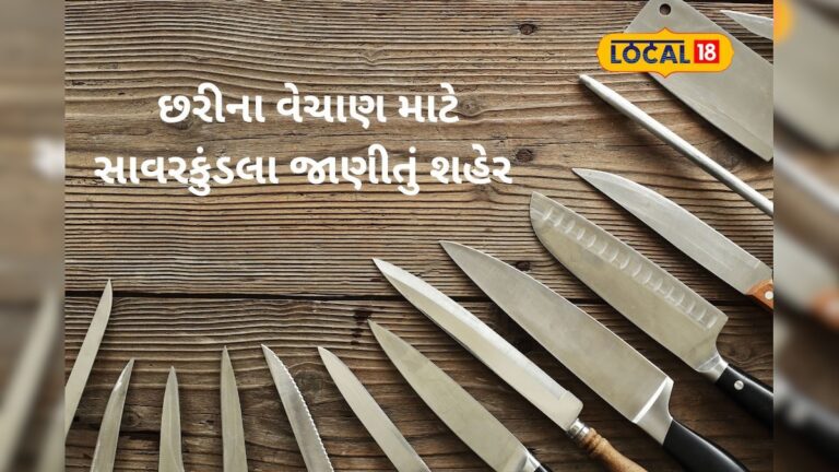 સાવરકુંડલામાંથી ચપ્પુ-છરીની ગુજરાતભરમાં નિકાસ, 5 રૂપિયાથી કિંમત શરૂ થાય