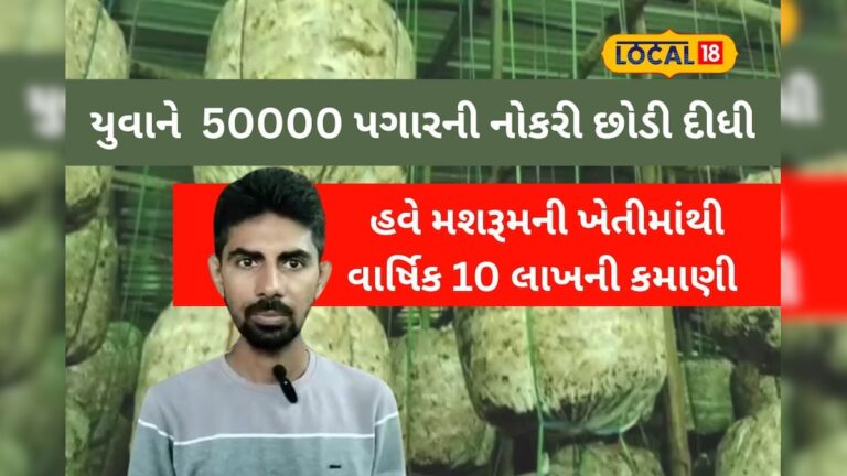 મહિને 50 હજાર પગારની નોકરી છોડી યુવાને શરૂ કરી મશરૂમની ખેતી, આટલી આવક
