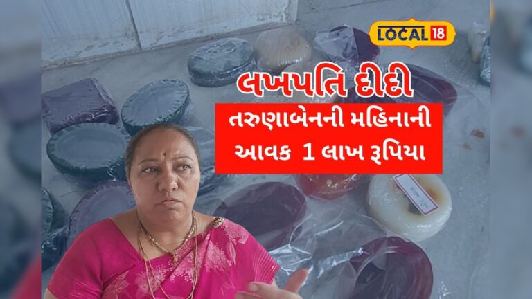 Tarunaben from Amreli becomes ‘Lakhpati Didi’ – અમરેલીના તરુણાબેન  ‘લખપતિ દીદી’ બન્યા