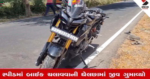 Vadodara: શિનોરમાં ધો. 11નું રિઝલ્ટ લઈ ઘરે જતા બે વિદ્યાર્થીઓના અકસ્માતમાં મોત