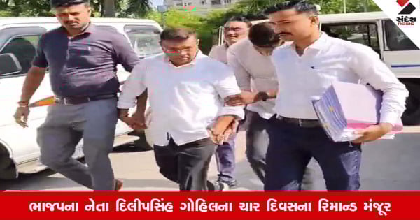 Vadodara: જમીન કૌભાંડ મામલે ભાજપના નેતા દિલીપસિંહ ગોહિલના 4 દિવસના રિમાન્ડ મંજૂર
