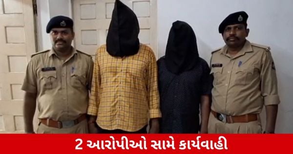 Vapi: યુવક પર પથ્થર વડે જીવલેણ હુમલો, ટાઉન પોલીસે 2 આરોપીઓને ઝડપ્યા