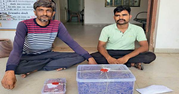 Dhandhuka: હડાળા પાણશીણા માર્ગ પરથી બે શખ્સો 3.952 કિલોગ્રામ ગાંજા સાથે પકડાયા
