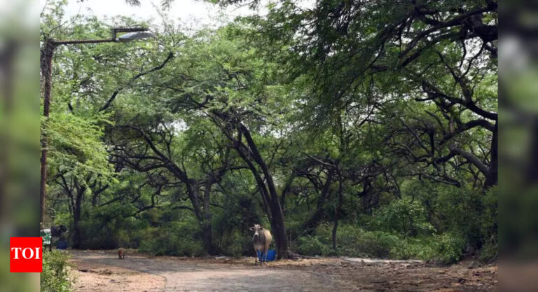 On green mission, students become changemakers to tackle air pollution | Delhi News
