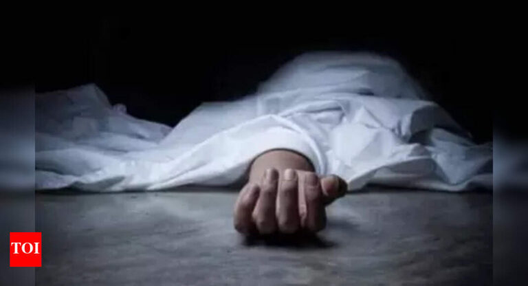 E-Rickshaw Driver Killed in Violent Dispute Over Passengers in Delhi | Delhi News