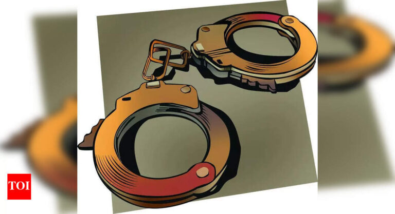 2 with Chinese link held for duping woman in share scam | Delhi News