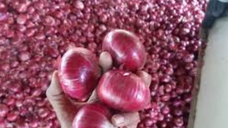 Which Region Grows the Best Onions Know The Special Variety