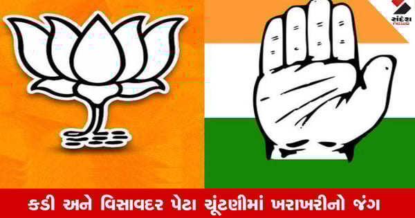 Gujarat : કડી અને વિસાવદરની પેટા ચૂંટણીમાં આ ઉમેદવારોએ ભર્યા ફોર્મ