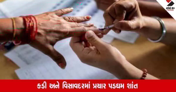 Kadi-Visavadarમાં પેટા ચૂંટણીના પ્રચાર પડઘમ શાંત, 19 જૂને યોજાશે મતદાન