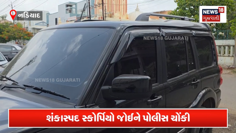ગાડીની નંબર પ્લેટ જોઈને પોલીસ થઈ ગઈ સ્તબ્ધ!