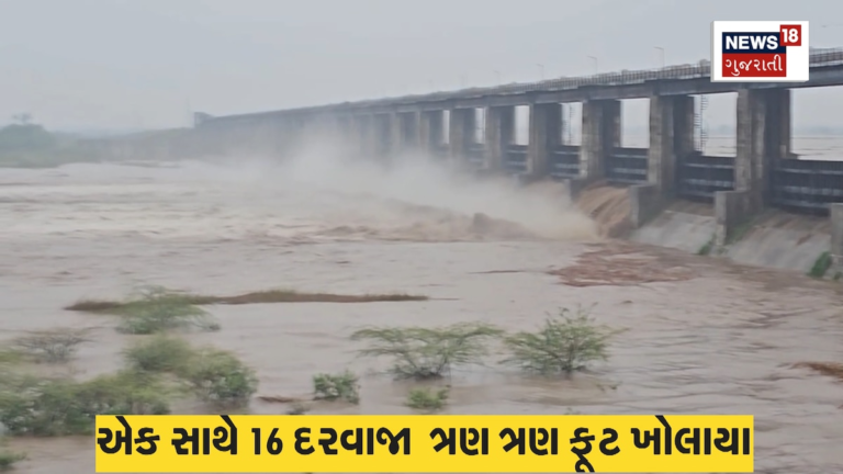 પ્રથમ વરસાદે ડેમના દરવાજા ખોલવાની ફરજ પડી