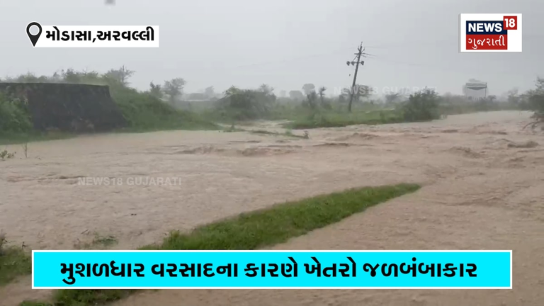 ઓહોહો… સર્વત્ર જળબંબાકાર!