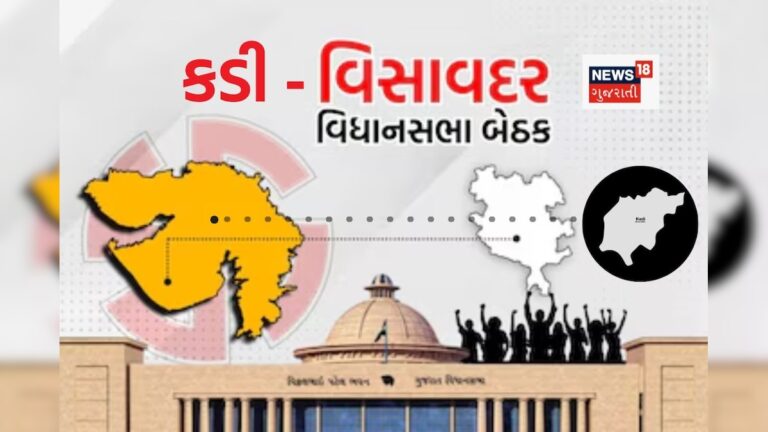 Kadi Visavadar by elections result live updates – કડી અને વિસાવદર પેટા ચૂંટણીની મતગણતરી ભાજપ, આપ, કોંગ્રેસ